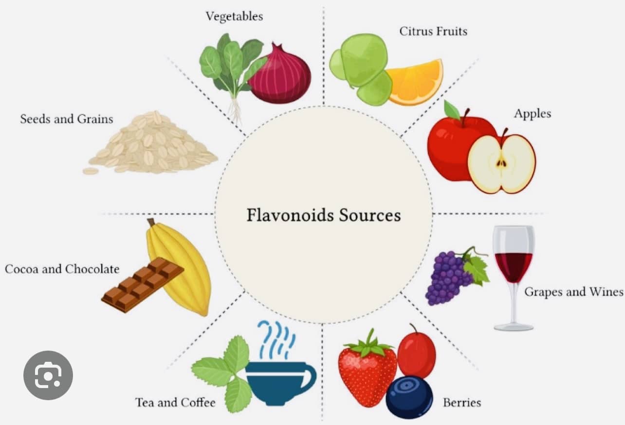 Flavonoids and Inflammation
A close-up of a richly colored fruit salad, emphasizing the presence of flavonoid-rich fruits like blueberries, citrus, and strawberries, alluding to their potent anti-inflammatory properties.